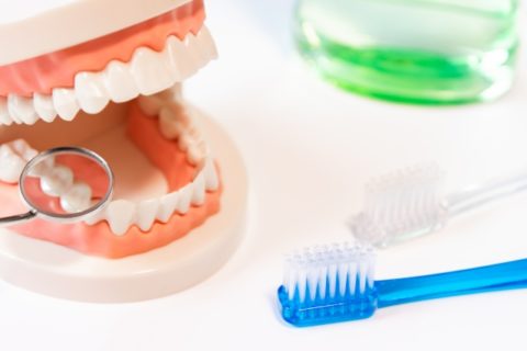 歯周病と歯肉炎と歯槽膿漏の違いとは？